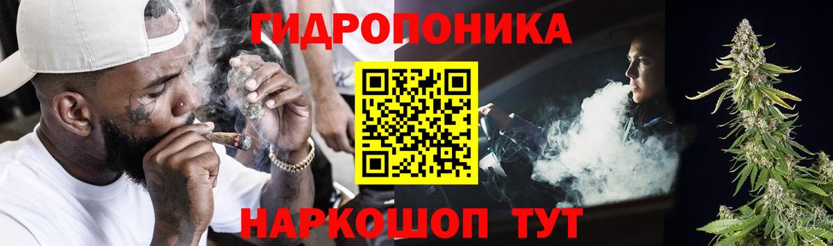 Бошки Шишки White Widow  Вход с VPN  Нововоронеж  Конопля семена 